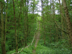 Glindow