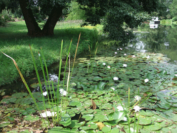 W&ouml;rlitz